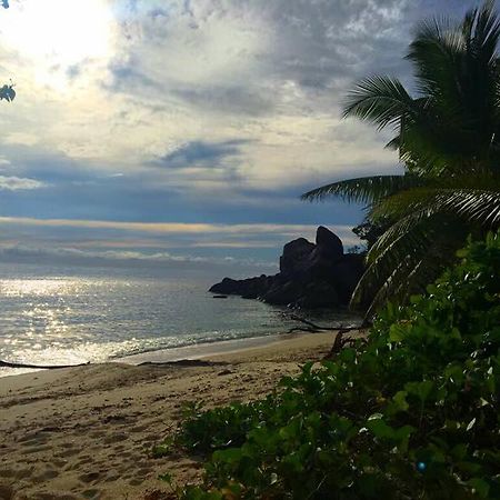 Villas Du Voyageur Grand Anse  Esterno foto
