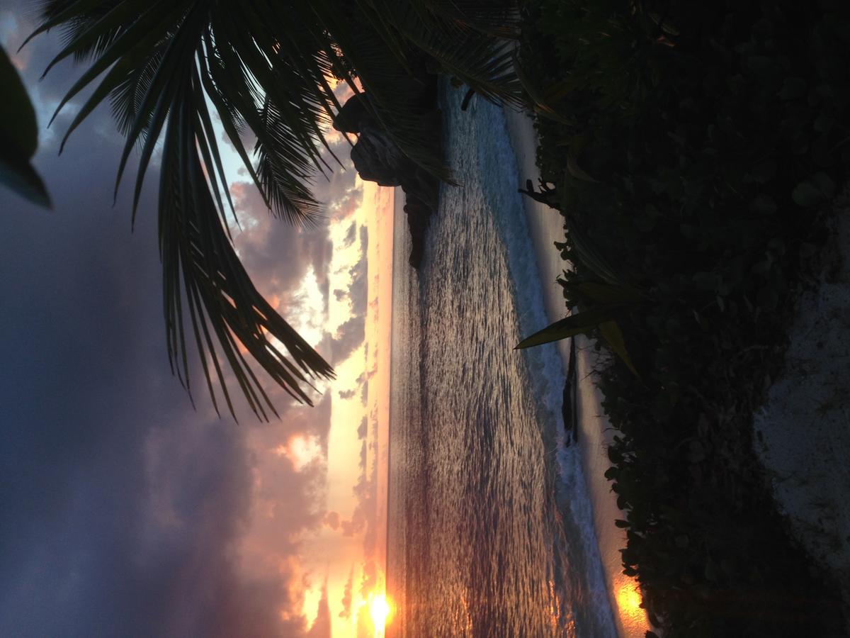 Villas Du Voyageur Grand Anse  Esterno foto