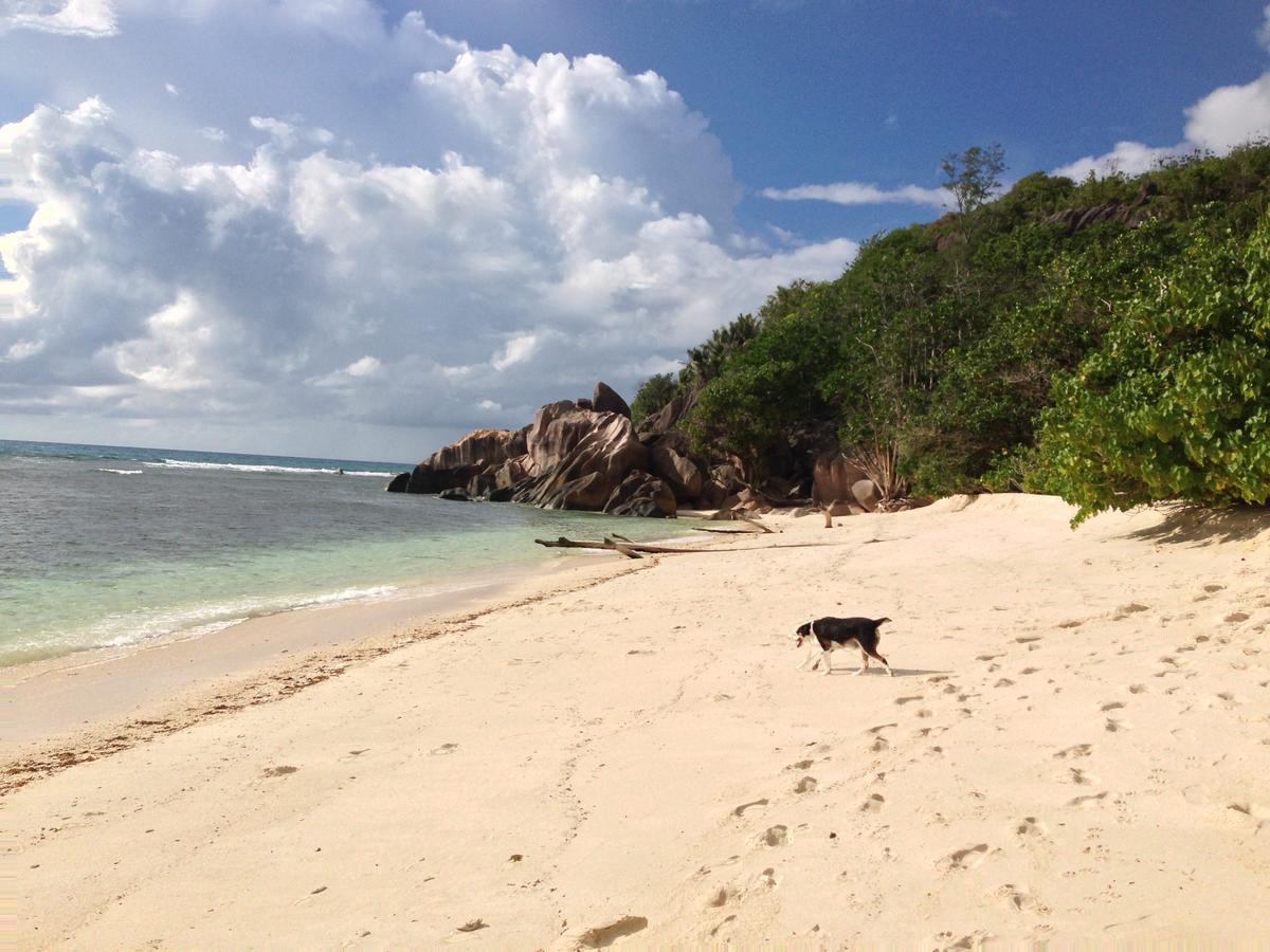 Villas Du Voyageur Grand Anse  Esterno foto