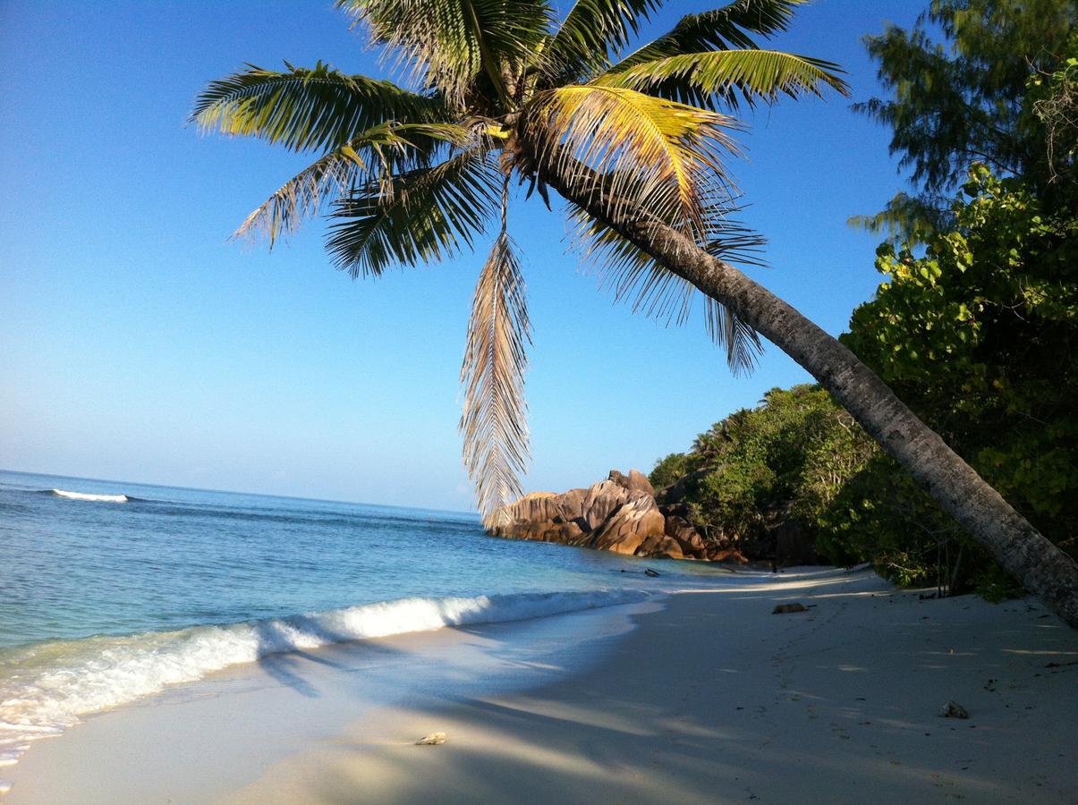 Villas Du Voyageur Grand Anse  Esterno foto