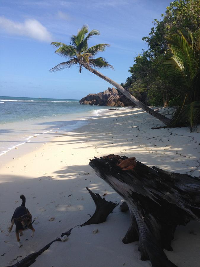 Villas Du Voyageur Grand Anse  Esterno foto